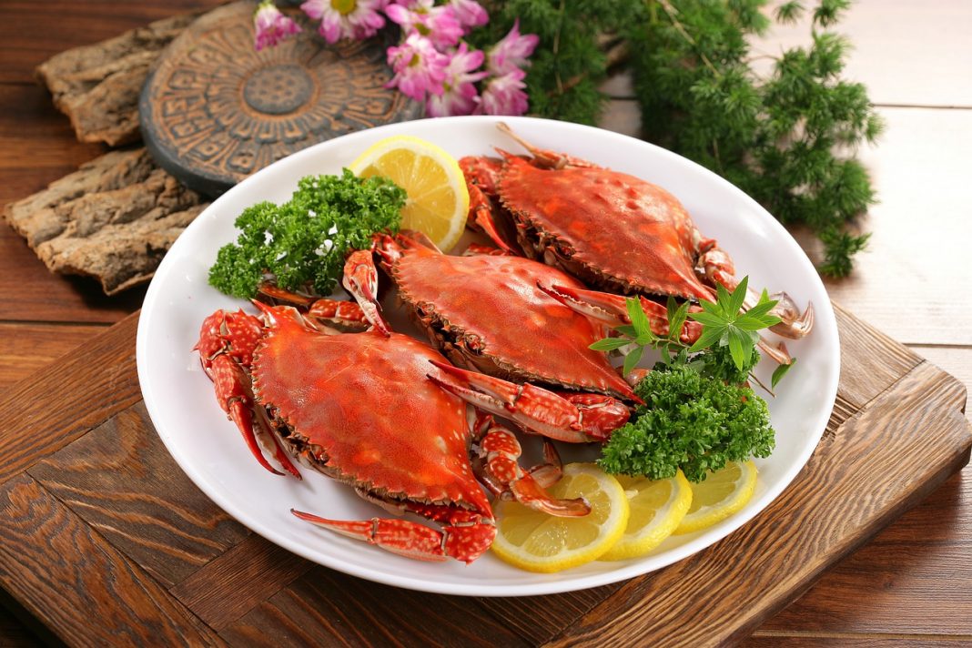 Paella estos son los mejores pescados para hacerla con sabor a mar