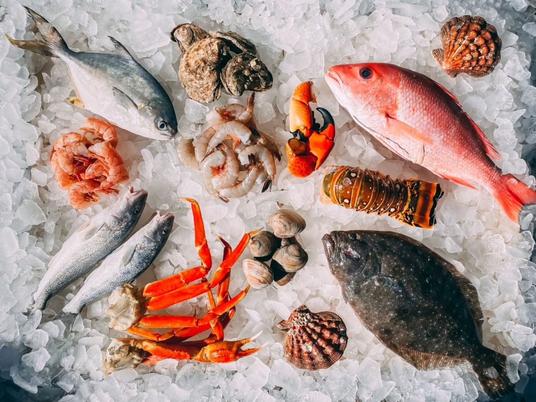 Paella estos son los mejores pescados para hacerla con sabor a mar