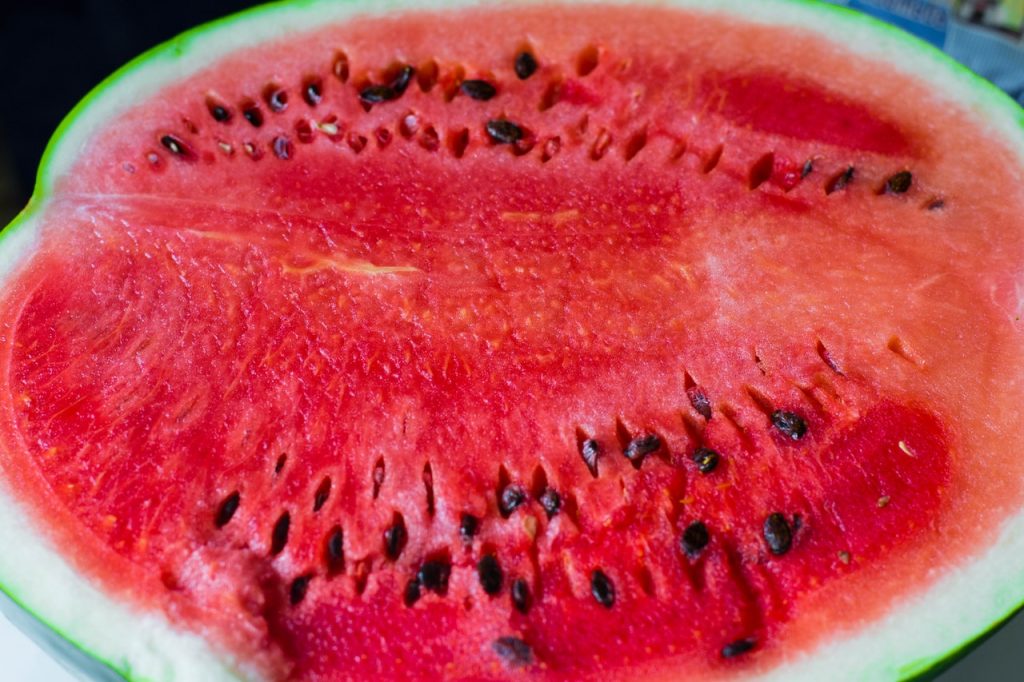Patógenos Que Pueden Crecer En La Sandía Y Demás Frutas Cortadas