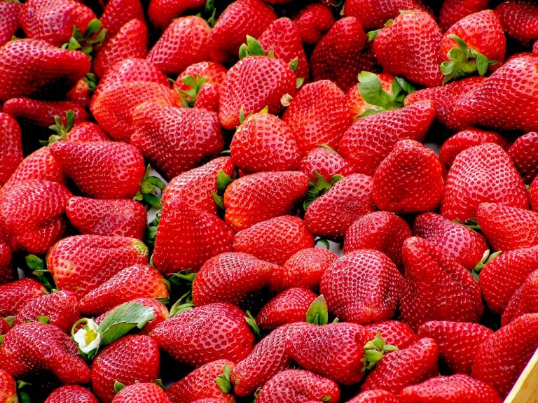 Estos alimentos que gustan a todo el mundo tienen menos de 50 calorías