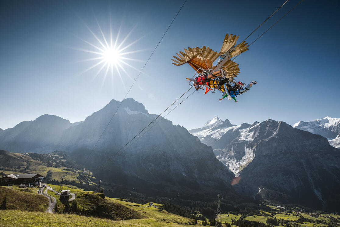 Grindelwald First Sommer Firstglider 01