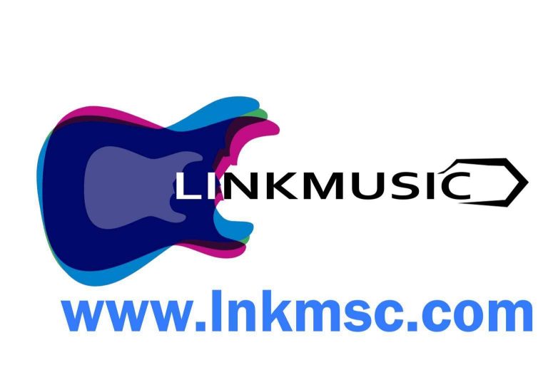 Dar voz a artistas emergentes desde la plataforma LinkMusic