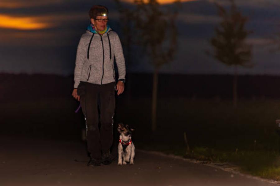 On El Paseo Después De Cenar Dormirás Mejor