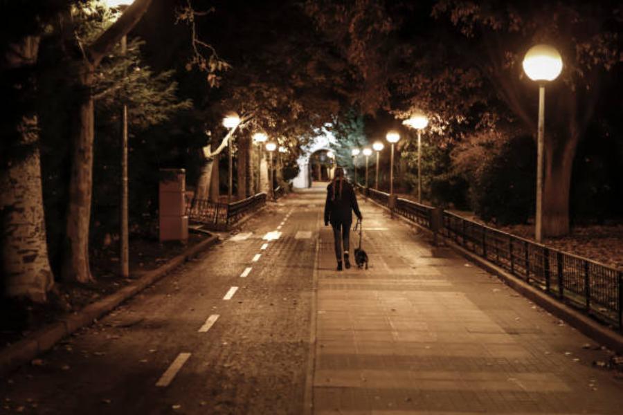 El Paseo Mejora La Circulación De La Sangre