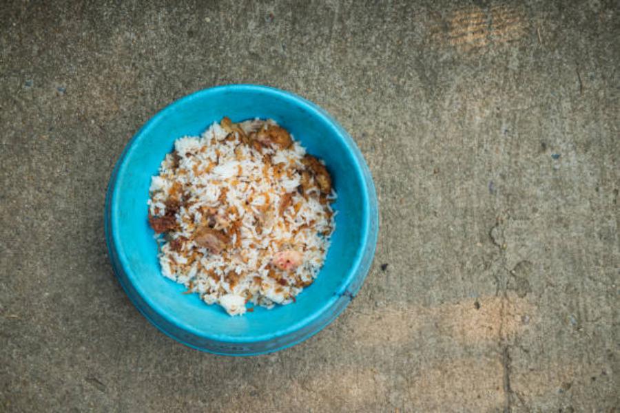 Tampoco es bueno el arroz integral