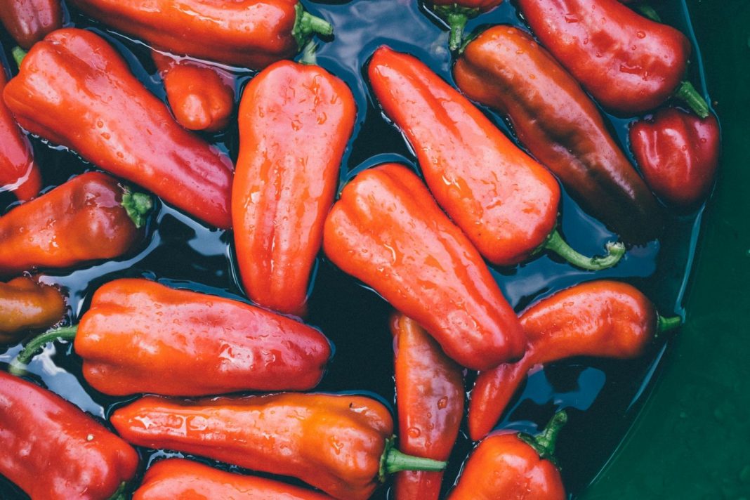 Pimientos del piquillo errores que cometes que destrozan el plato