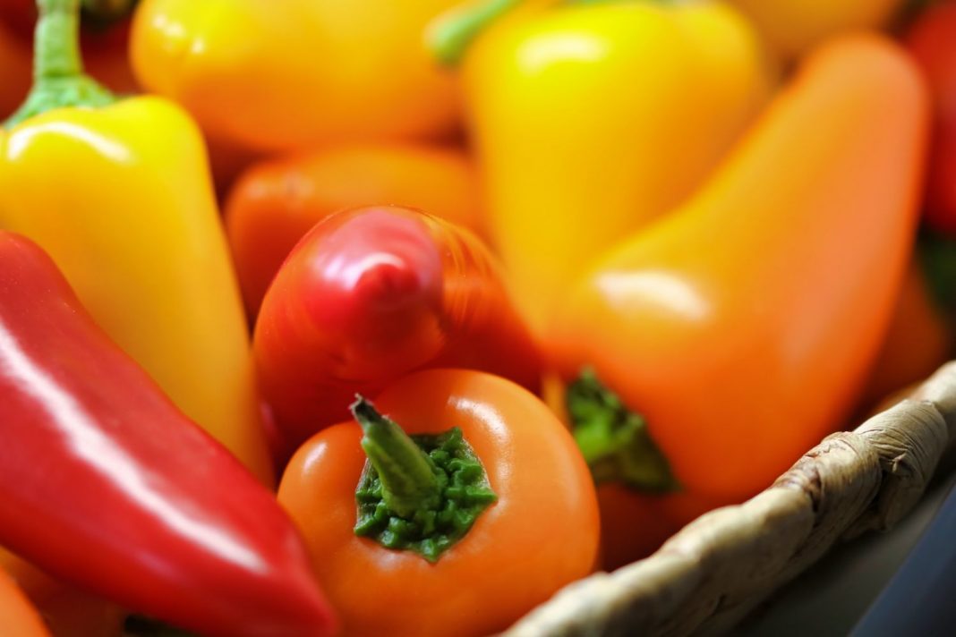 Pimientos del piquillo errores que cometes que destrozan el plato