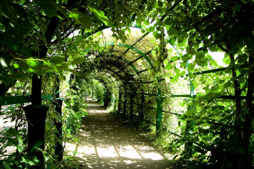 Porche O Pérgola: Esta Es La Mejor Opción Para Tu Jardín
