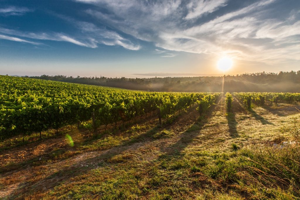 El tiempo que dura una botella de vino abierta