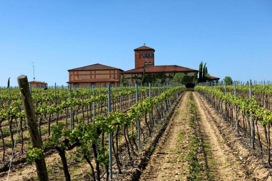 Hacienda Zorita Natural Reserve