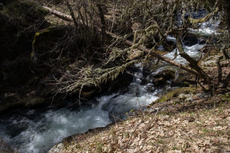 Las ONG reclaman en el Día Mundial del Medioambiente acciones para proteger la naturaleza