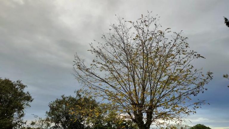 Hoy, la mitad de España con nubes y la otra con una ligera bajada de temperaturas. El tiempo del 6 de junio