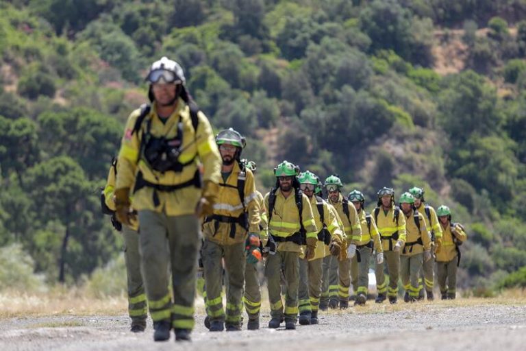 Más de cien efectivos terrestres trabajan para controlar el incendio de Pujerra (Málaga)