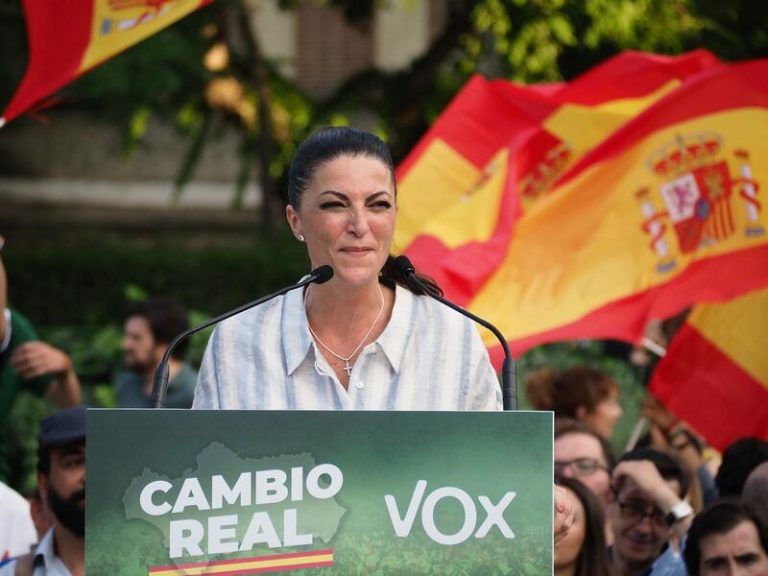 Un juez de Madrid estudia este martes suspender la candidatura de Olona a las elecciones andaluzas