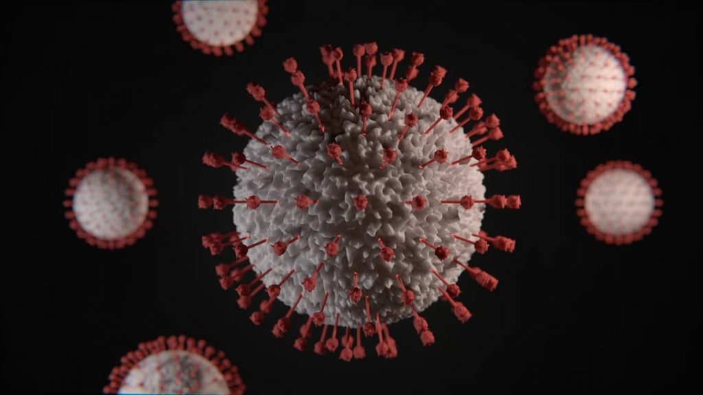 Los 7 Nuevos Virus Que Podrían Protagonizar La Próxima Pandemia