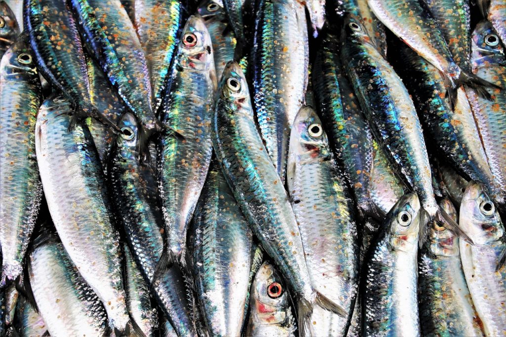 Arguiñano Prepara Unos Boquerones En Salsa De Escándalo