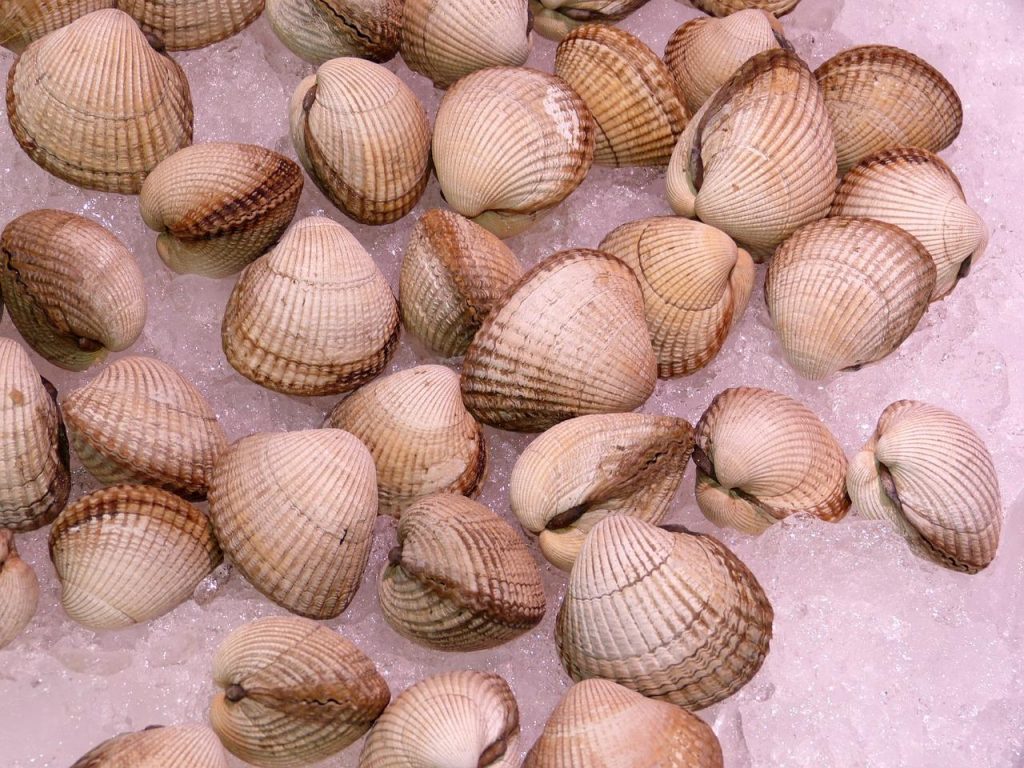 Berberechos Al Ajillo Así Se Hace Este Plato De Cinco Minutos