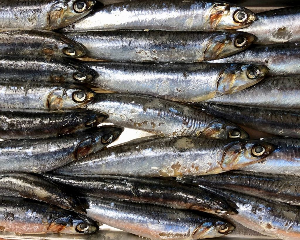 Boquerones En Tempura La Forma Diferente De Comer Un Pescado De Temporada