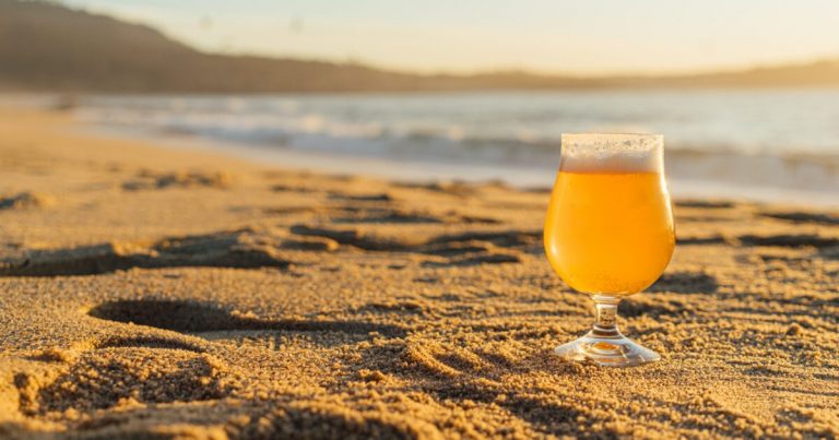 De los medicamentos a la cerveza: alimentos y otras cosas que se pensaban veganos