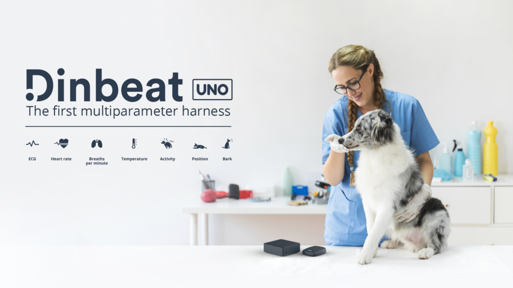 La salud de tus mascotas con DinbeatUNO 