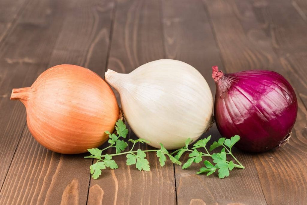 El Uso Que Le Puedes Dar A La Piel De La Cebolla 2 ¿Cuáles Son Los Tipos De Cebolla?