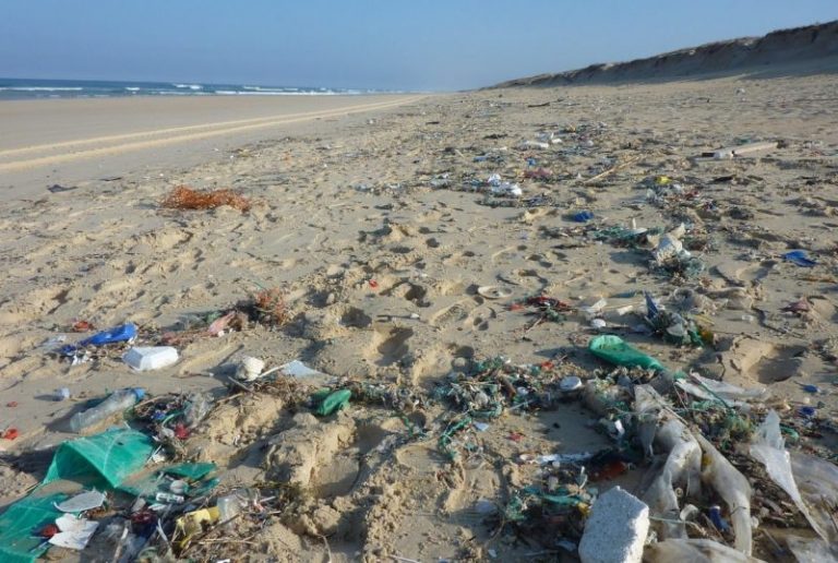 Estas son las playas de España más contaminadas