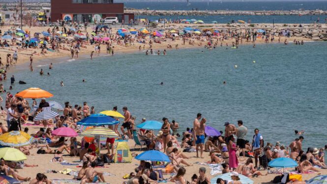¿Cómo Se Conocen Cuáles Son Las Playas Contaminadas En España?