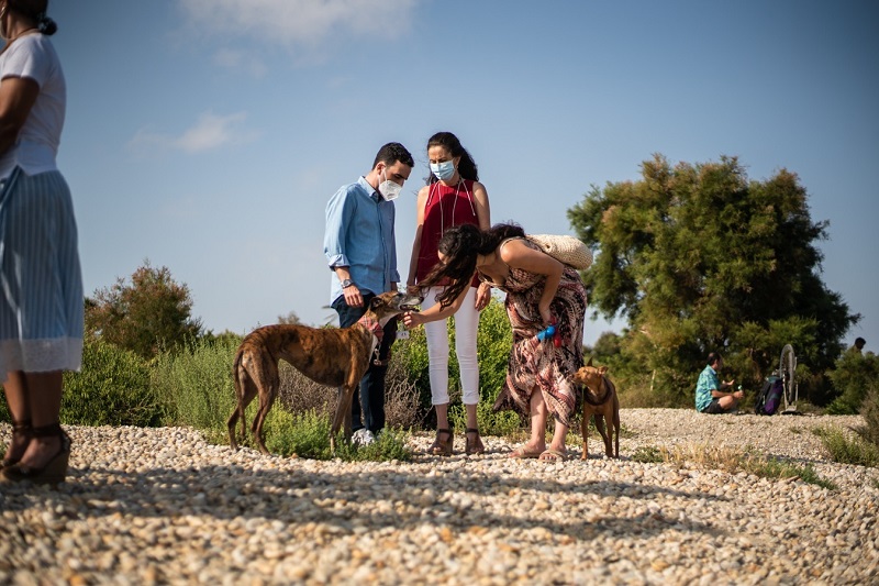 Las Mejores Playas De España Para Ir Con Tu Perro