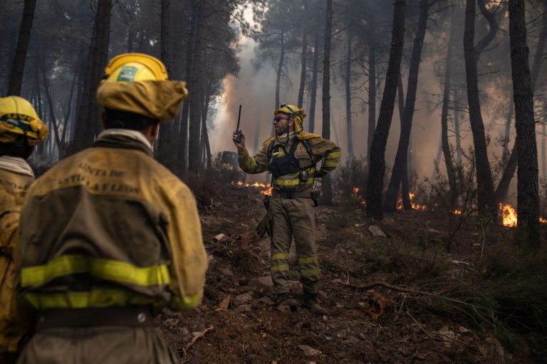 Bomberos Forestales se concentrarán el miércoles para pedir «explicaciones» a la Junta de Castilla y León