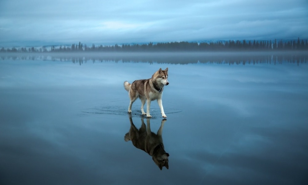 Fotos Impresionantes Sin Photoshop