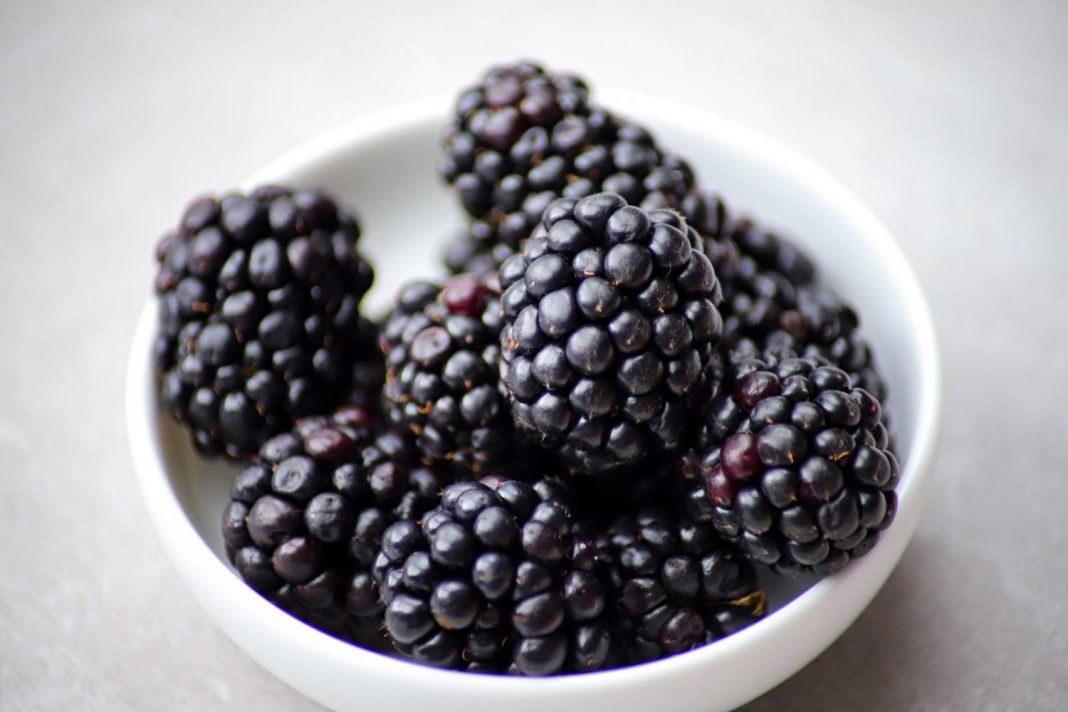 La salsa barbacoa con moras es una delicatessen y se hace así