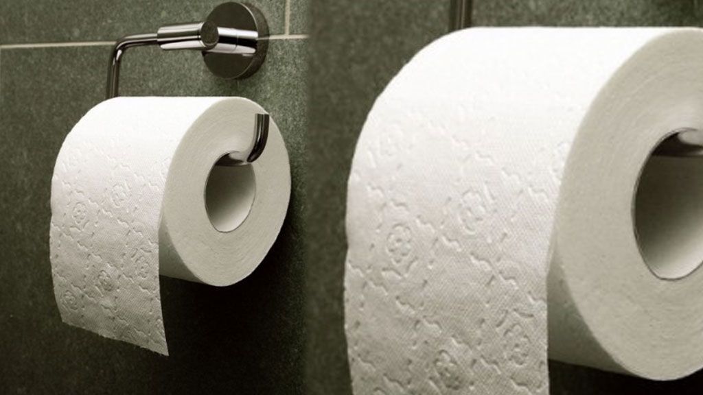 ¿Qué Es El Papel Higiénico?