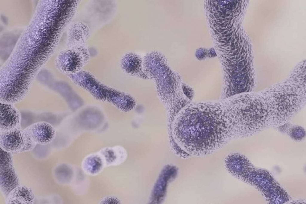 Qué Es La Tricomoniasis 2 ¿Cómo Puedo Saber Si Tengo Tricomoniasis?