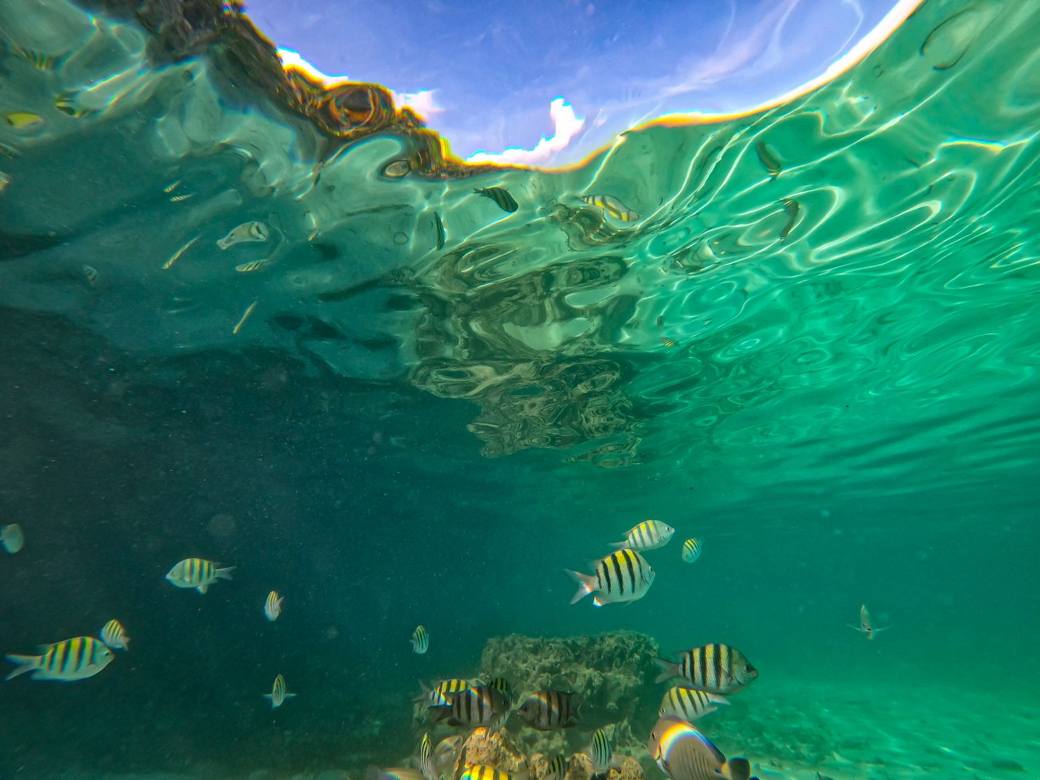 Utila Islas De La Bahia