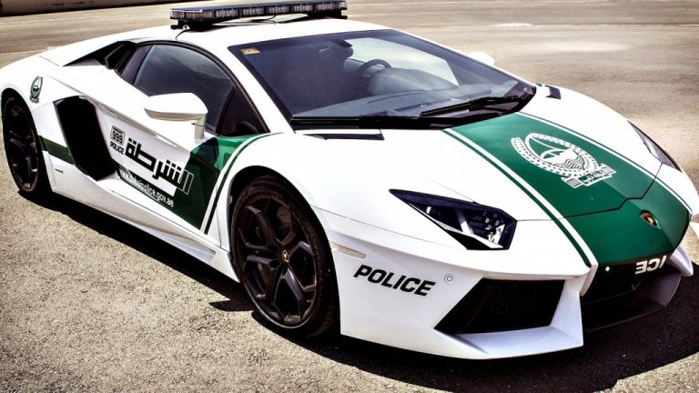 Cosas lujosas que solo podrías ver en Dubai