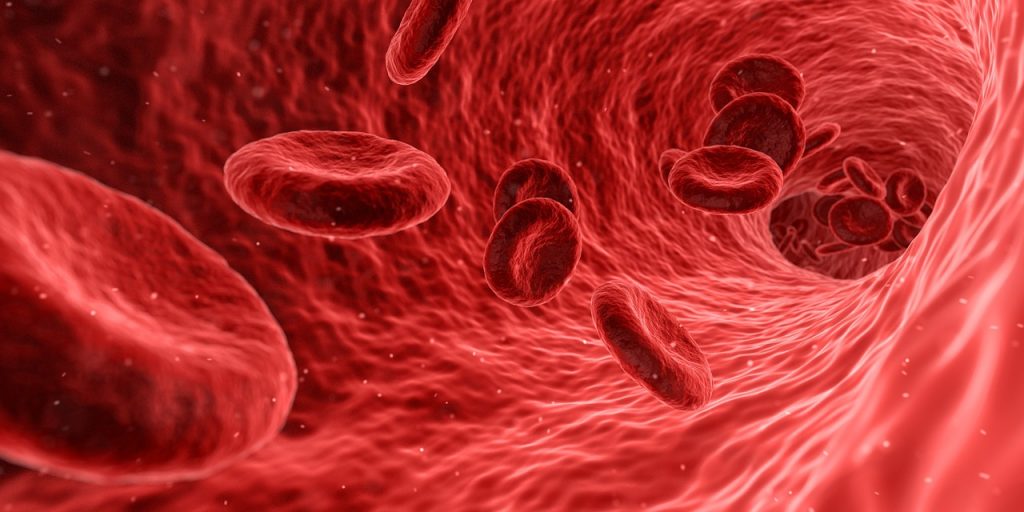 Ezetimiba: Las Consecuencias De Tomar Este Medicamento Contra El Colesterol