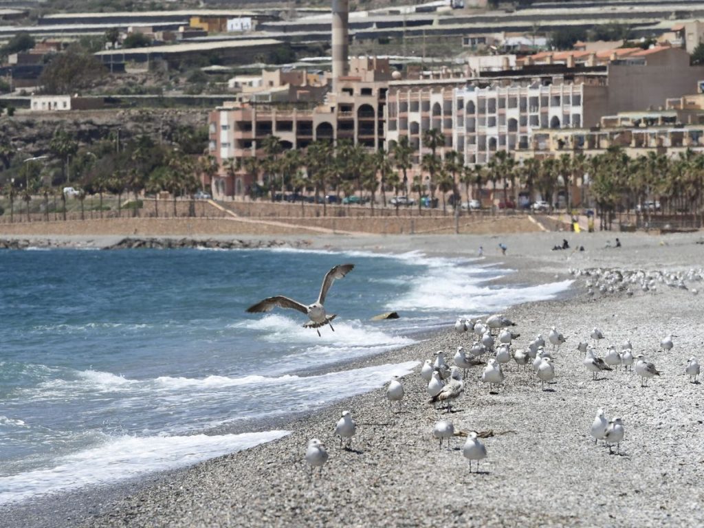Las nuevas banderas azules