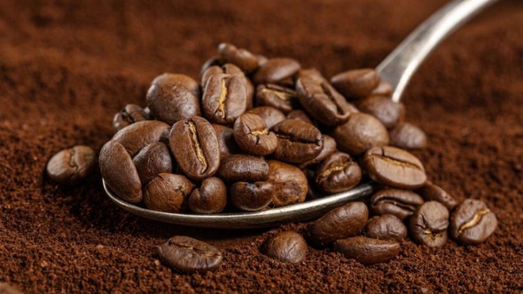 Gusanos E Insectos En Alimentos Del Desayuno