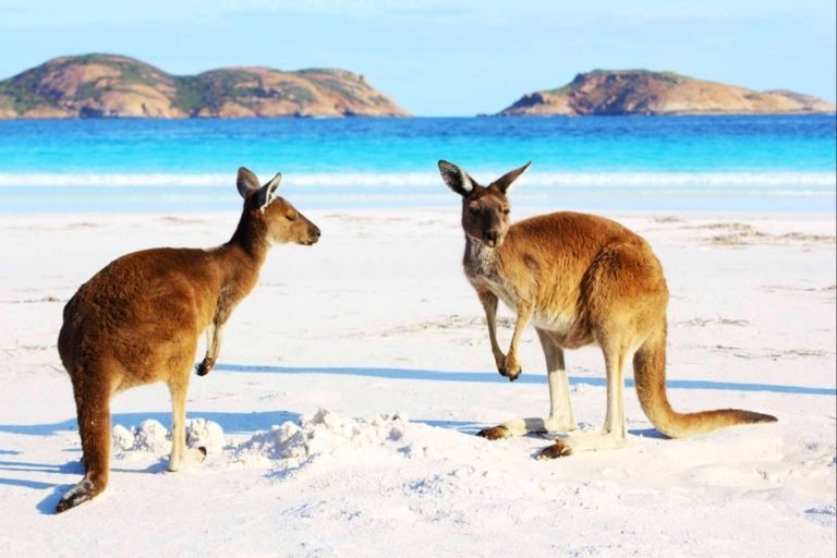 El asesoramiento de Australia Study España para becas, másteres y grados en Australia