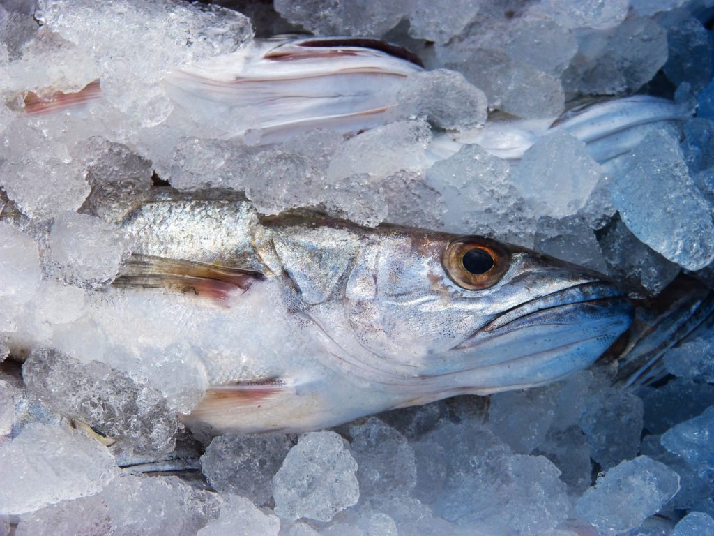 Merluza A La Vasca El Plato Que Arguiñano Borda Como Nadie