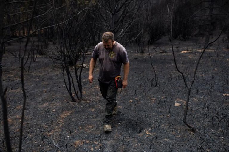 RTVE comienza una campaña para concienciar sobre el peligro de los incendios forestales, basuraleza y abandono animal