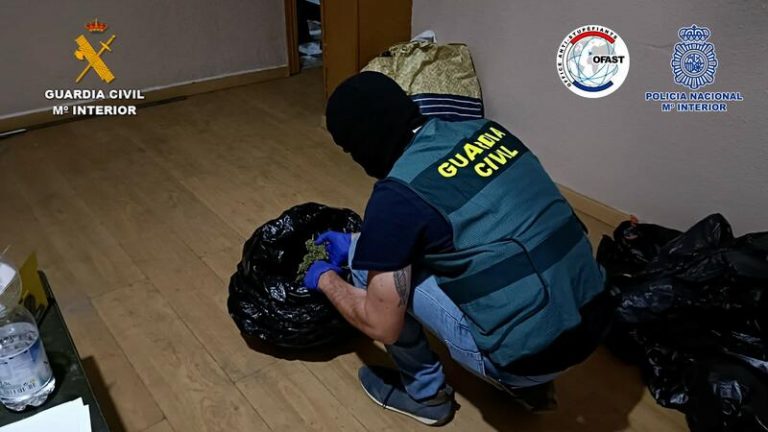 Desmantelada una red que distribuía 600 kilos de hachís y marihuana por Europa