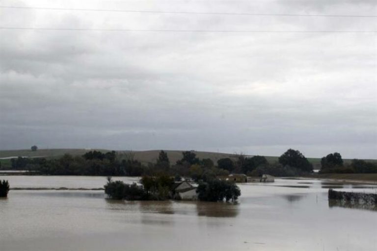 Las primas de seguros alcanzarán los 7 billones de dólares en 2022