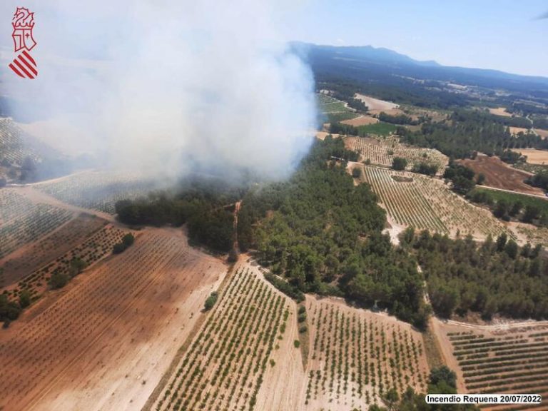 Extinguido el incendio forestal de Requena (Valencia) declarado el miércoles