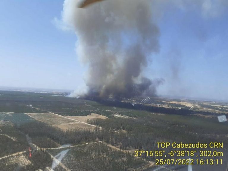 Desalojadas 220 viviendas por un incendio en Almonte