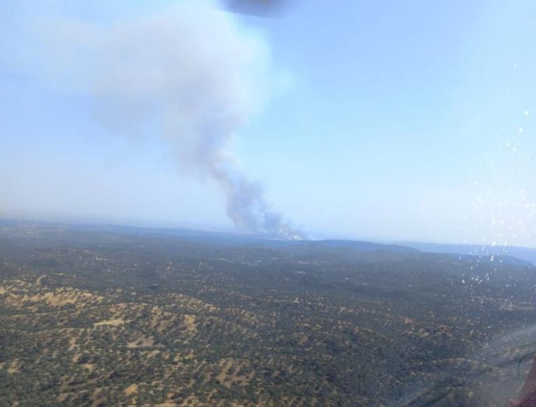 Junta de Andalucía cifra en casi 1.400 las hectáreas calcinadas en incendios de Belalcázar y Espiel