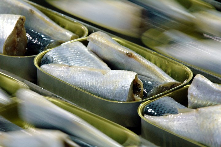 ¿El Pescado En Lata Aporta Calcio?