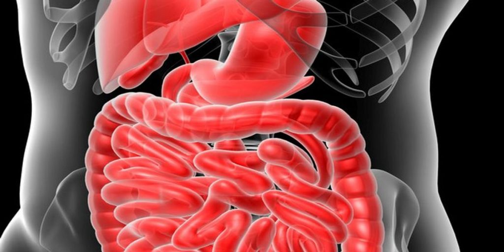 ¿Qué Es El Cáncer De Colon?