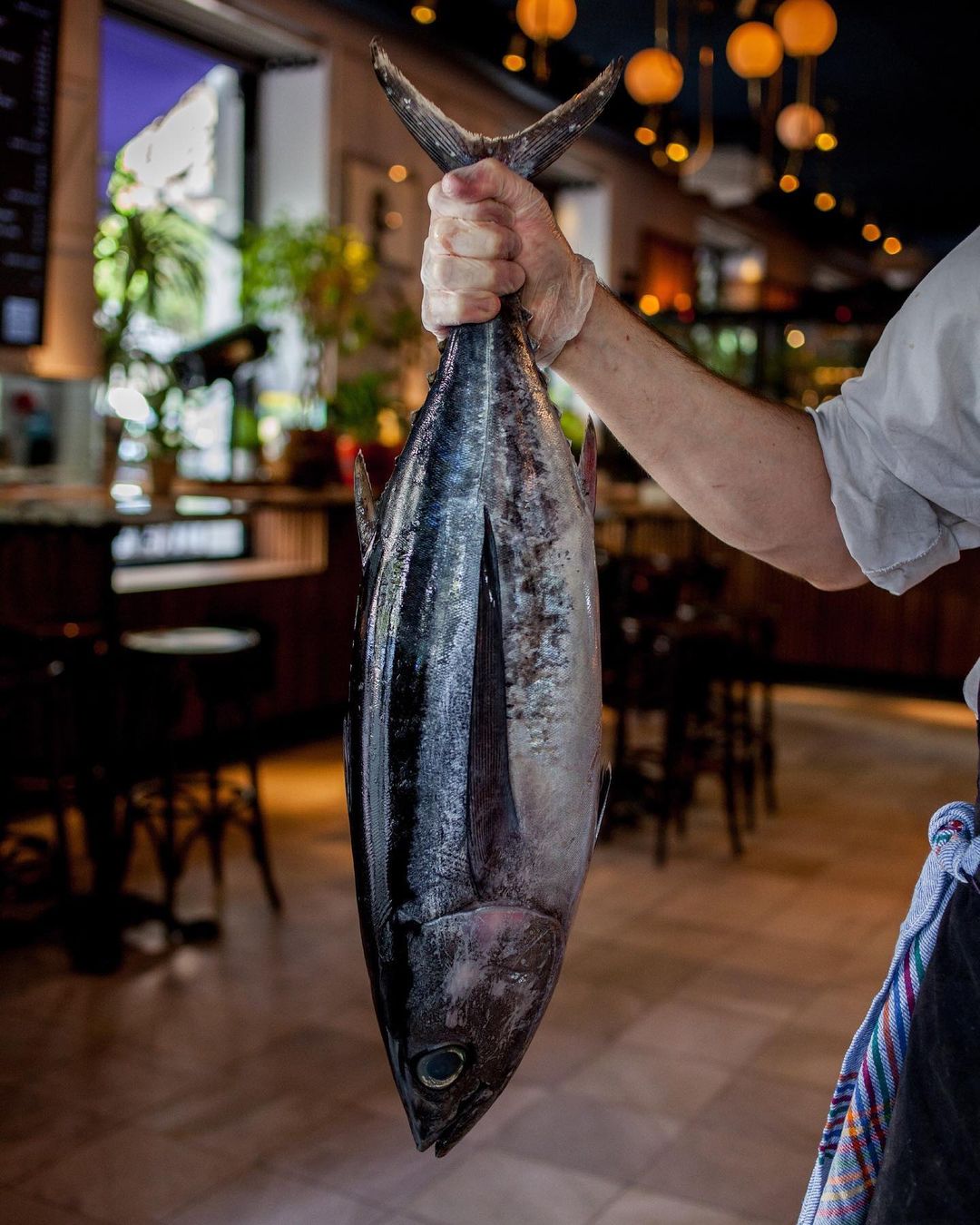 Los Mejores Restaurantes Para Saborear La Temporada De Bonito En Madrid 1 Bonito Arzabal