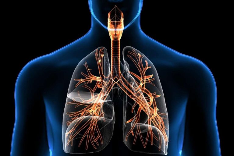 Cómo limpiar los pulmones y las vías respiratorias